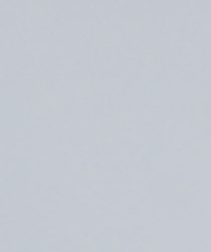 珍珠白08693A-J-D15